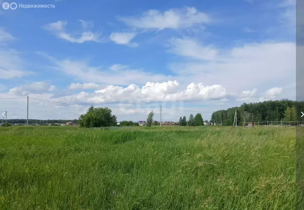 Участок в Криводановский сельсовет, СНТ Ясень (6.5 м) - Фото 2