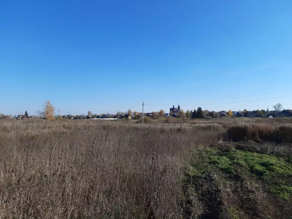 Участок в Свердловская область, Белоярский муниципальный округ, с. ... - Фото 2