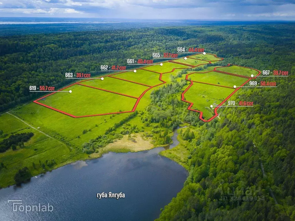 Участок в Карелия, Прионежский район, Заозерское с/пос, д. Ялгуба  ... - Фото 1