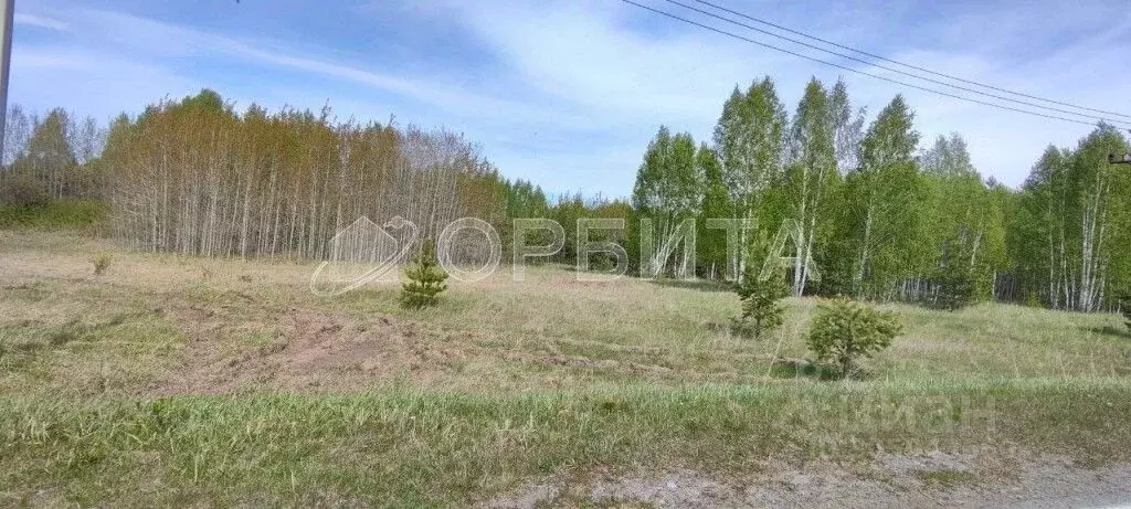 участок в тюменская область, нижнетавдинский район, с. тюнево (7.0 . - Фото 1