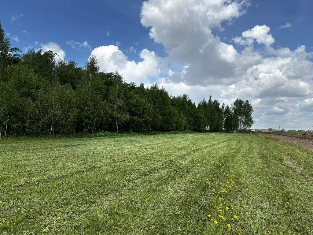 Участок в Московская область, Раменский муниципальный округ, Ольховка ... - Фото 1