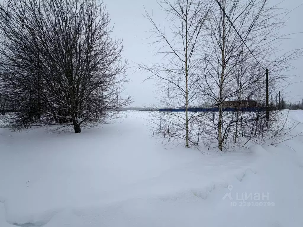 Участок в Московская область, Можайский муниципальный округ, д. ... - Фото 2