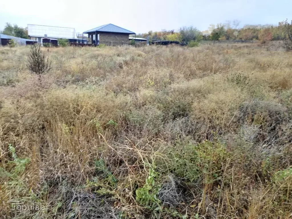 Участок в Ростовская область, Каменский район, Старостаничное с/пос, ... - Фото 1