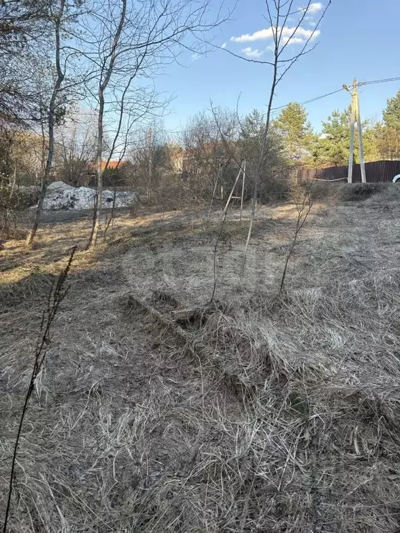 Участок в Калужская область, Калуга городской округ, д. Крутицы ул. ... - Фото 2