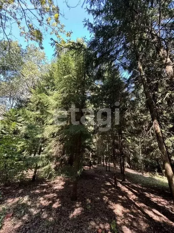 Участок в Морозовский сельсовет, СНТ Морозко, 1-е поле (10 м) - Фото 2