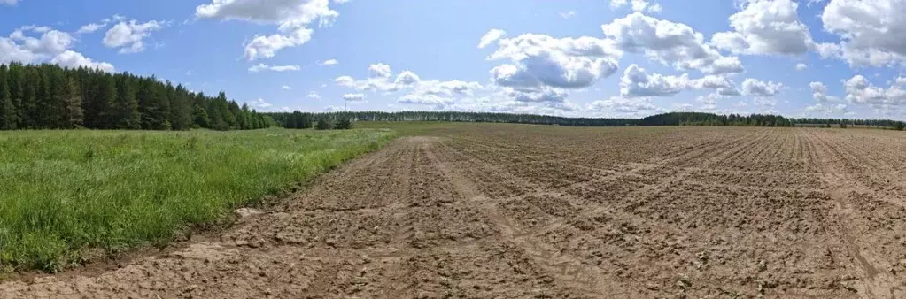 Участок в Татарстан, Рыбно-Слободский район, Балыклы-Чукаевское с/пос, ... - Фото 2