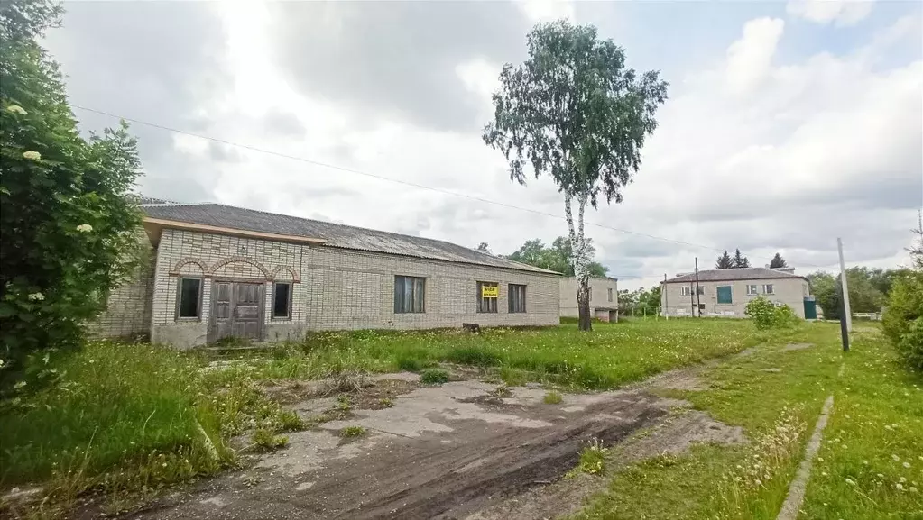 Помещение свободного назначения в Пензенская область, Бессоновский ... - Фото 1