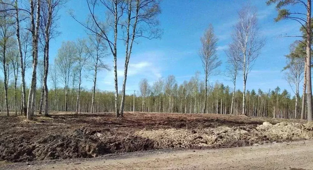 Участок в Ленинградская область, Всеволожский район, Токсовское ... - Фото 0