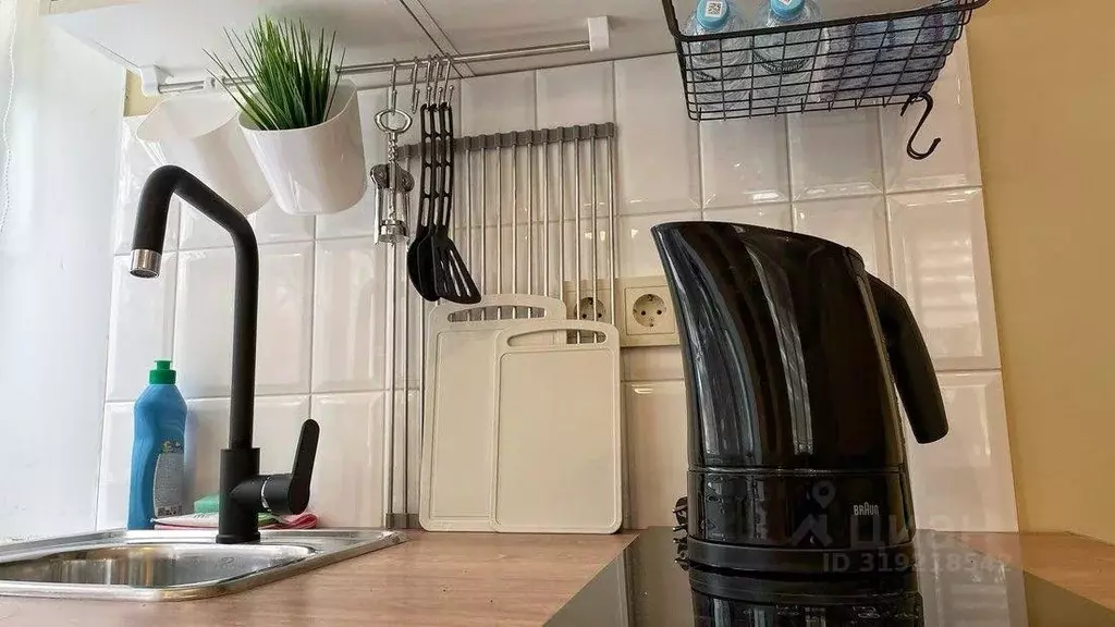 1-к кв. Санкт-Петербург Светлановский просп., 48/19 (25.0 м) - Фото 1