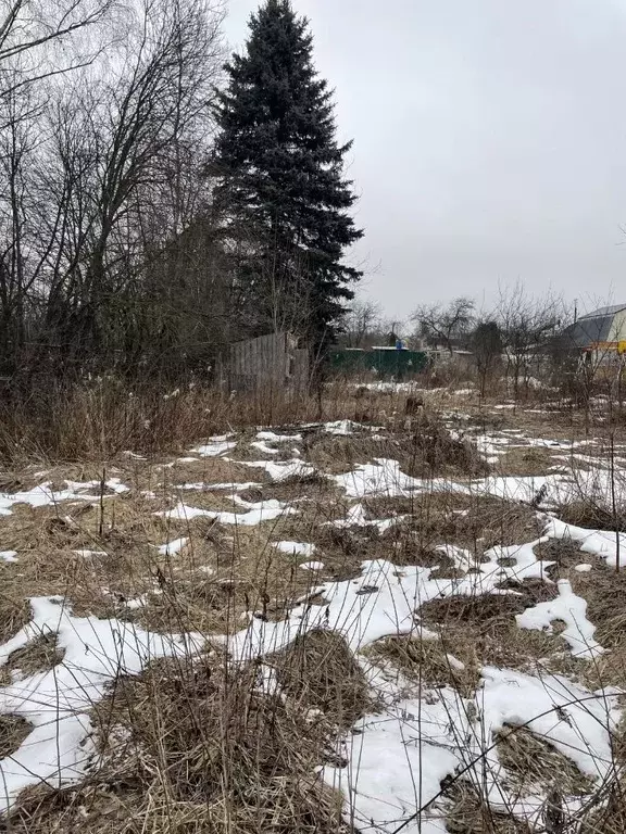 Участок в Владимирская область, Струнино Александровский район, Мир-1 ... - Фото 1