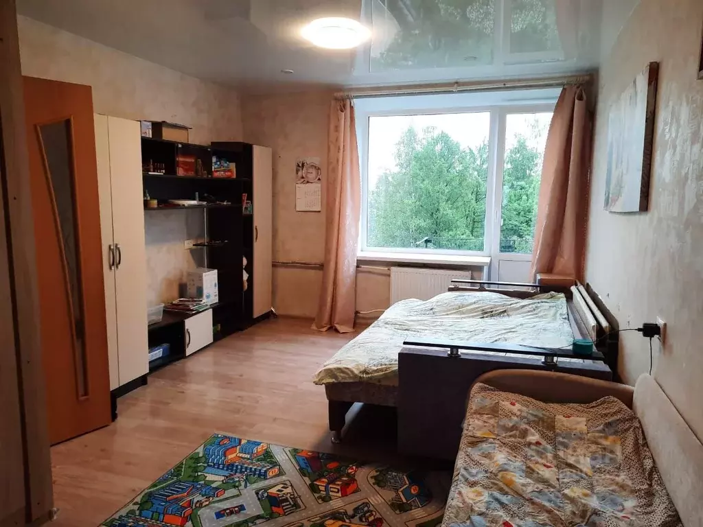 1-к кв. Санкт-Петербург, Санкт-Петербург, Пушкин ул. Генерала Хазова, ... - Фото 0