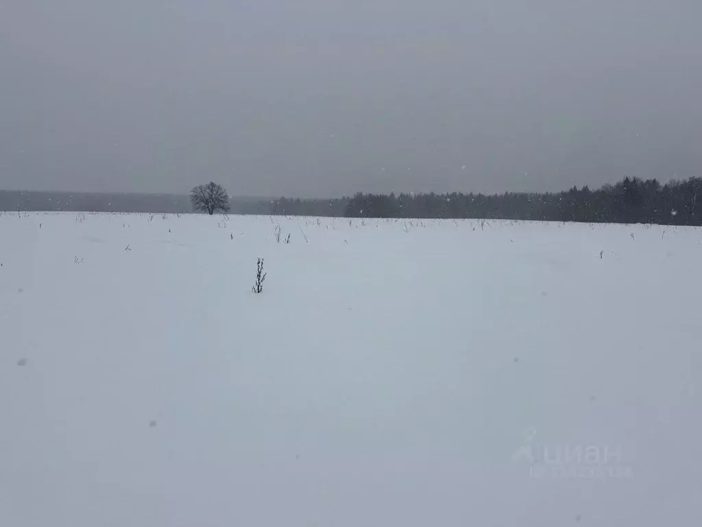 Участок в Московская область, Пушкинский городской округ, д. Артемово  ... - Фото 1
