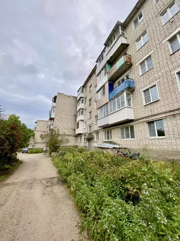 2-к кв. Нижегородская область, Павлово Больничный пер., 2 (45.7 м) - Фото 0