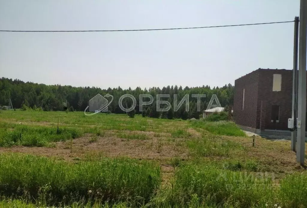 Участок в Тюменская область, Нижнетавдинский муниципальный округ, с. ... - Фото 1