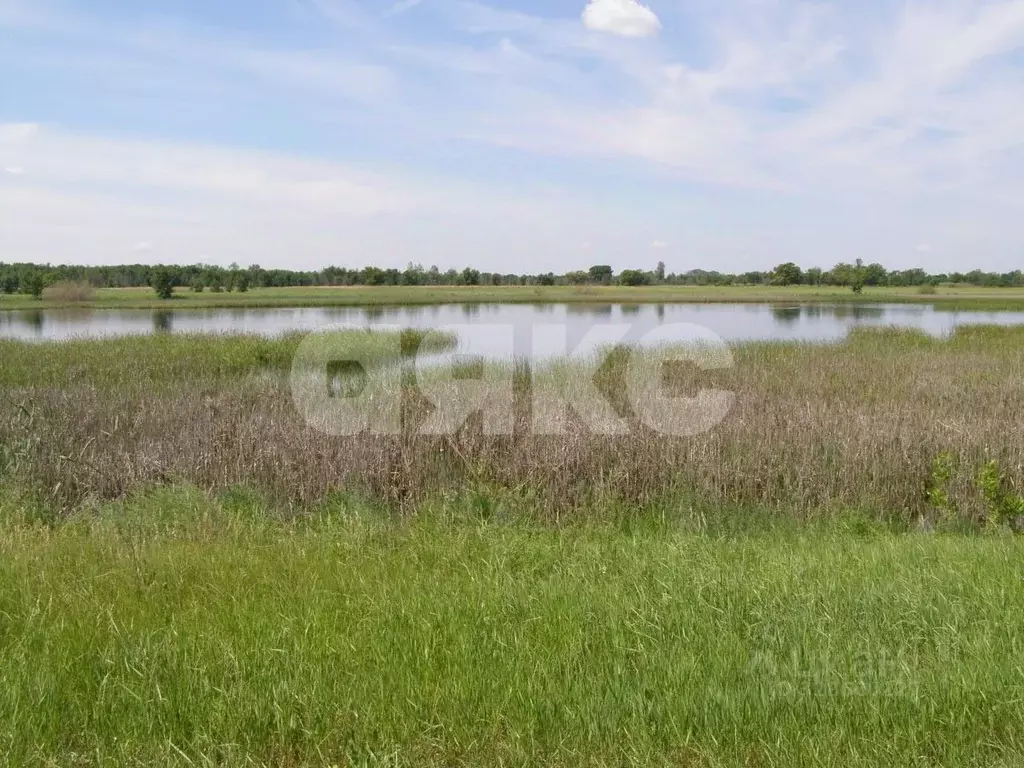 Участок в Волгоградская область, Ленинский район, Каршевитское с/пос, ... - Фото 2