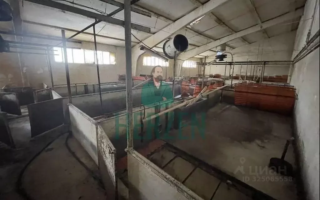 Склад в Москва д. Кузнецово,  (24000 м) - Фото 2