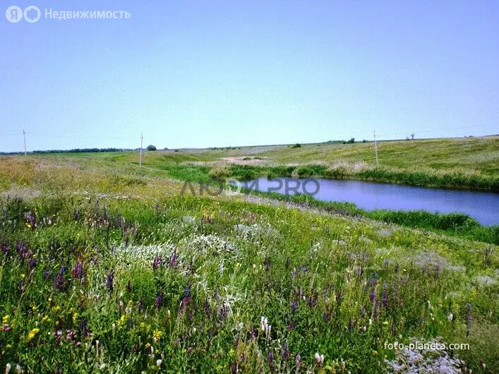 Участок в Новониколаевский, Строительная улица, 22 (7.16 м) - Фото 2