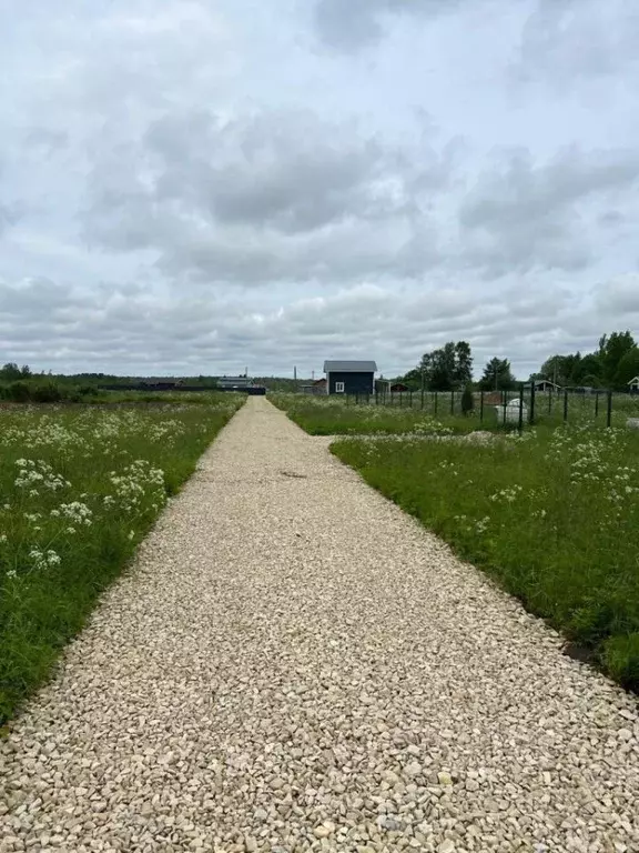 Участок в Ленинградская область, Гатчинский муниципальный округ, д. ... - Фото 2