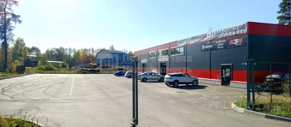 Помещение свободного назначения в Ленинградская область, Всеволожский ... - Фото 1