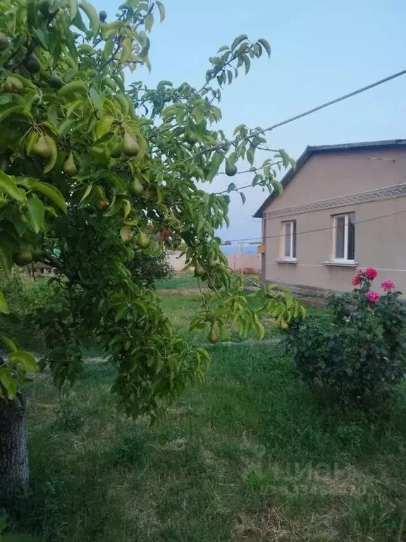 Дом в Крым, Кировский район, с. Приветное ул. Трудовая (80 м) - Фото 1