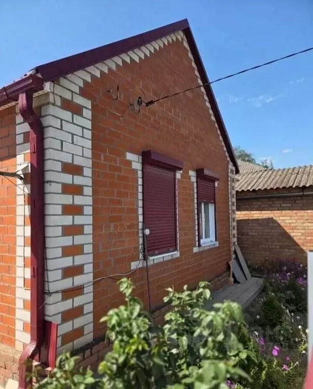 Дом в Краснодарский край, Староминская ст-ца ул. Артюха (46 м) - Фото 1