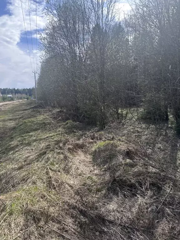 Участок в Московская область, Богородский городской округ, с. Стромынь ... - Фото 1