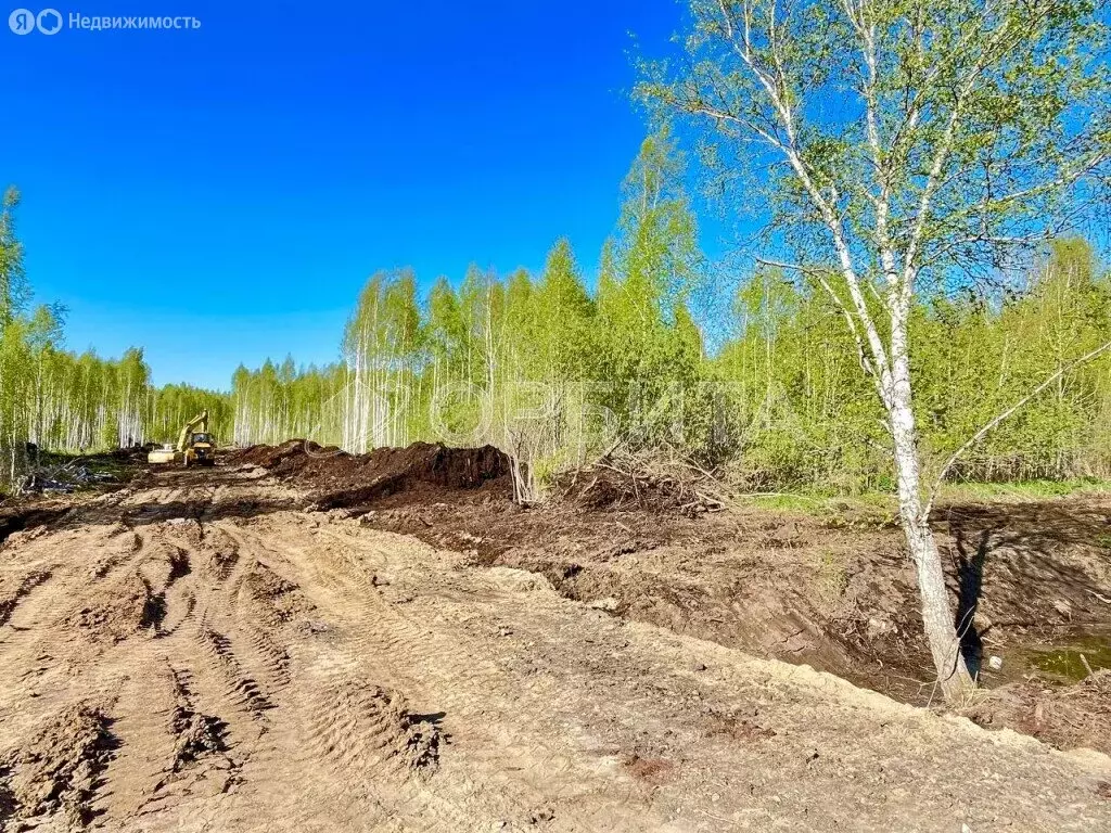 Участок в Тюменский район, деревня Решетникова (7 м) - Фото 1