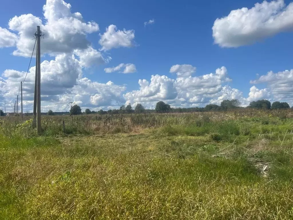Участок в Ленинградская область, Волосовский район, Рабитицкое с/пос  ... - Фото 2