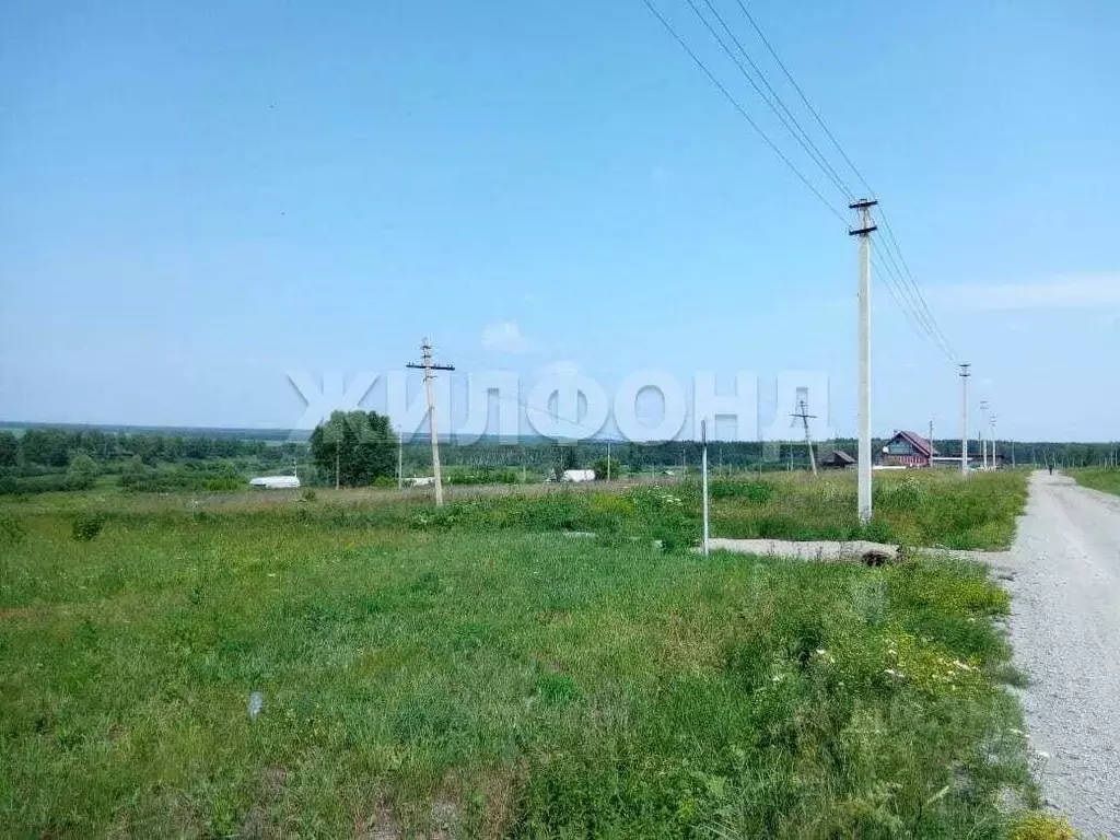 Участок в Новосибирская область, Тогучинский район, с. Буготак ул. ... - Фото 0