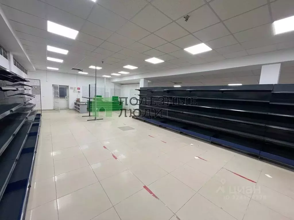 Помещение свободного назначения в Орловская область, Орел ... - Фото 1