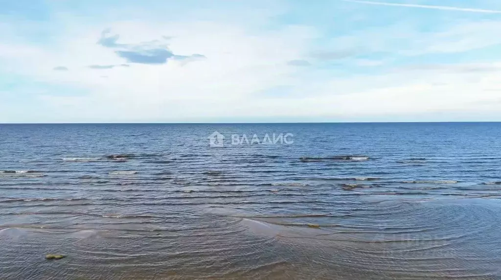 Участок в Ярославская область, Рыбинский муниципальный округ, с. ... - Фото 1