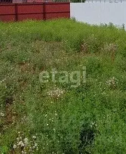 Дом в Новосибирская область, Бердск ул. Маяковского, 166 (35 м) - Фото 1