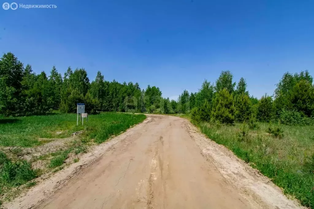 Участок в Тюменский район, садоводческое общество Архип (10.69 м) - Фото 1
