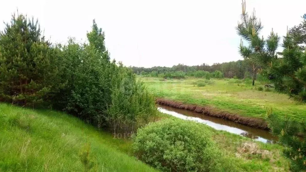 Участок в Свердловская область, Слободо-Туринский район, ... - Фото 2