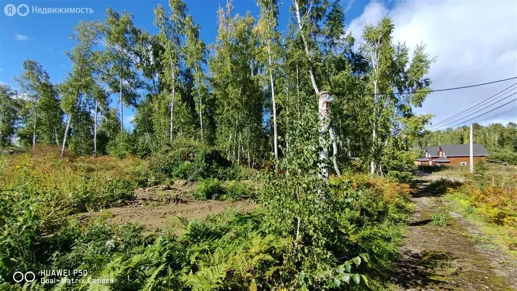 Участок в село Смоленщина, Лесная улица (12 м) - Фото 0