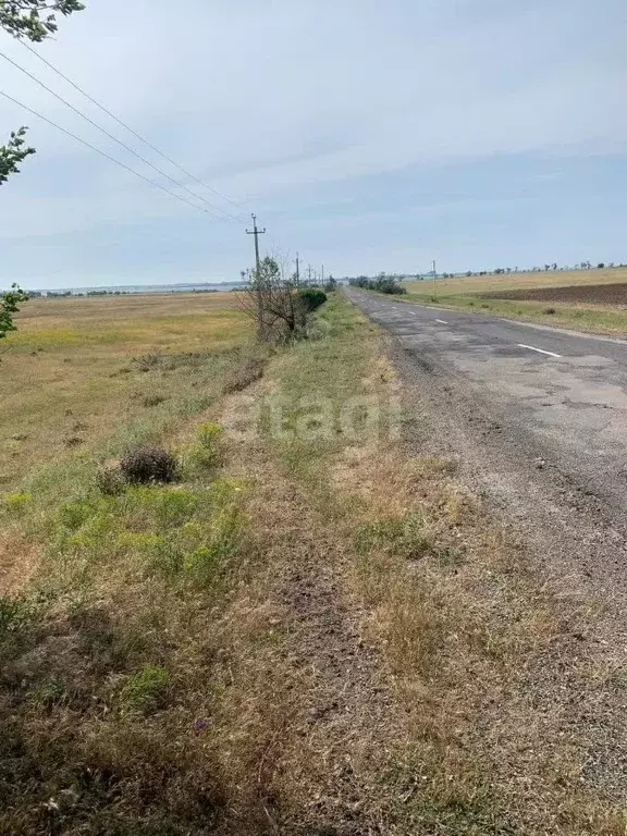 Участок в Крым, Черноморский район, с. Новосельское, Мечта-1 СНТ 314 ... - Фото 0