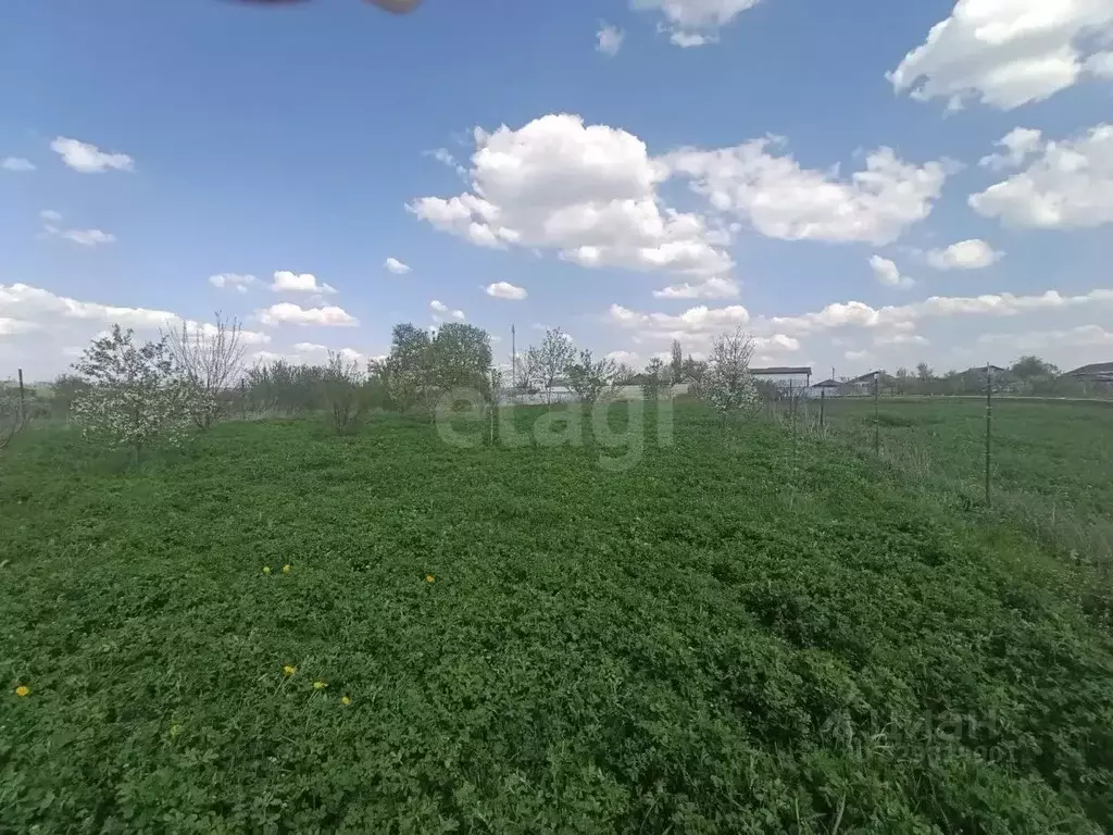 Участок в Белгородская область, Чернянский район, Русскохаланское ... - Фото 1