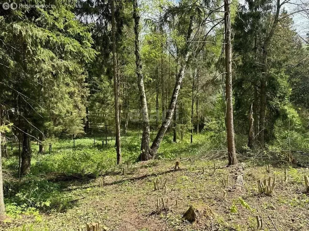 Участок в сельское поселение Ильинское, деревня Ковчег (52 м) - Фото 0