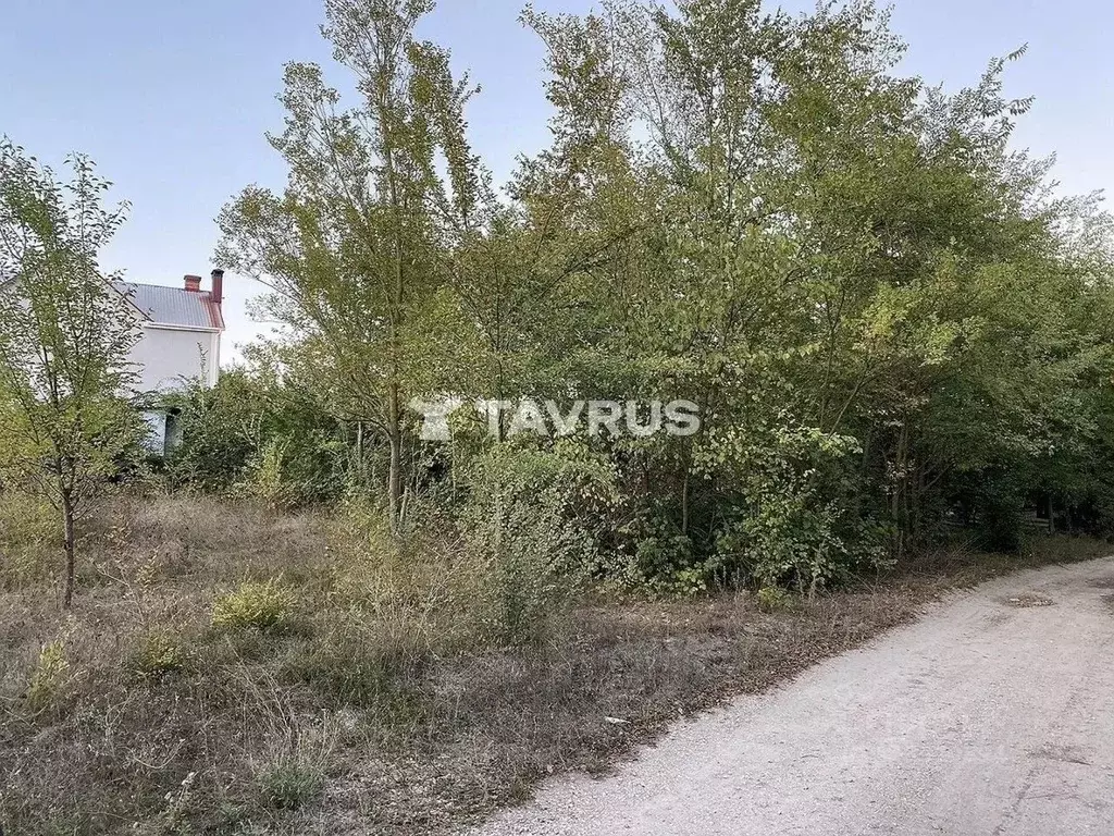 Участок в Крым, Симферопольский район, Чистенское с/пос, Родничок СПК ... - Фото 1