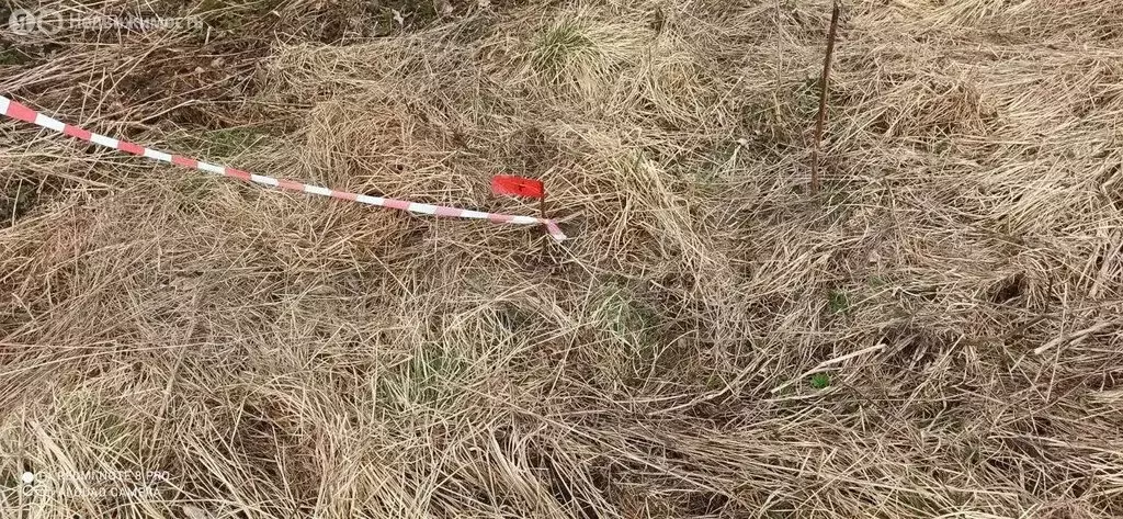 Участок в Лопухинское сельское поселение, садоводческое некоммерческое ... - Фото 1