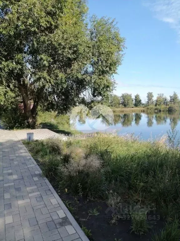 Студия Новосибирская область, Новосибирск ул. Забалуева, 102/1 (19.5 ... - Фото 1