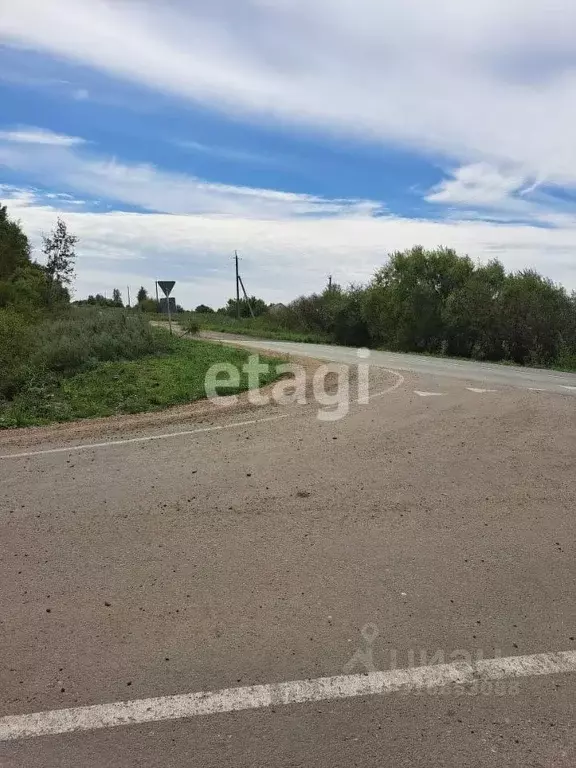 Участок в Амурская область, Благовещенский район, с. Грибское ул. ... - Фото 1
