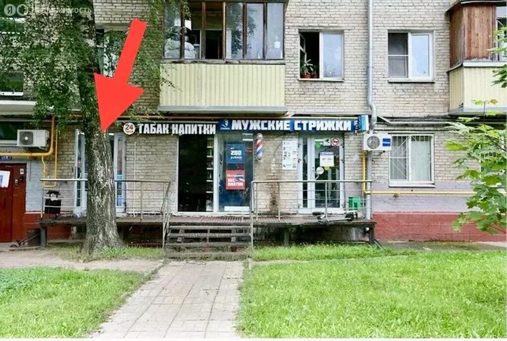 Помещение свободного назначения (22 м) - Фото 2