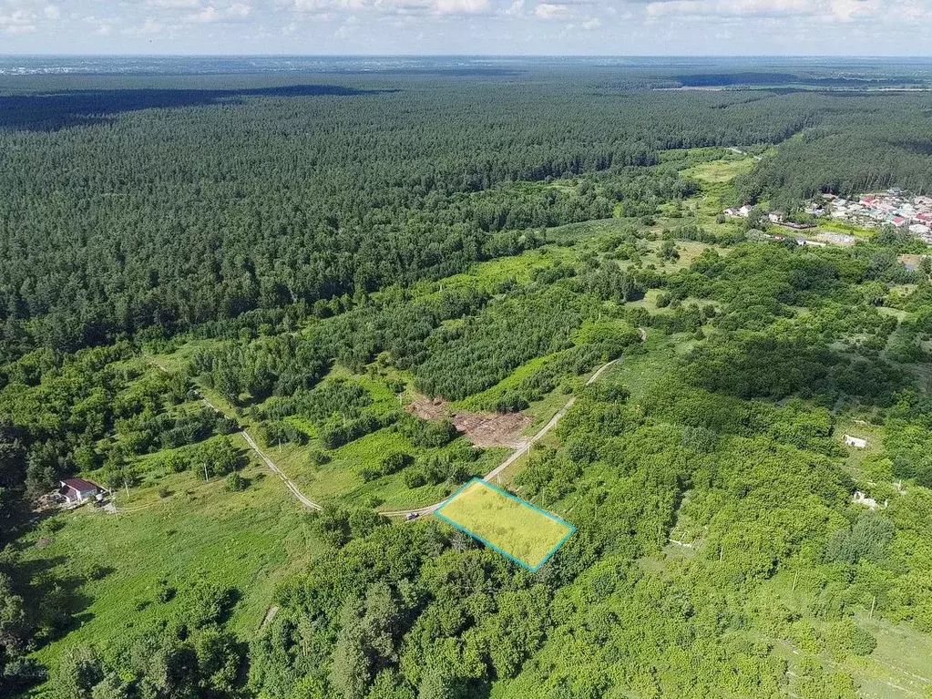 Участок в Алтайский край, Бийский район, с. Лесное пер. Южный, 18 ... - Фото 1