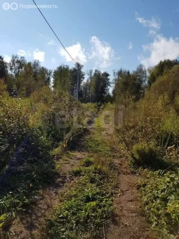 Участок в Кубовинский сельсовет, ДНП Содружество (10 м) - Фото 1