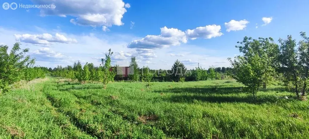 Участок в Первомайский район, посёлок Новый, Берёзовская улица, 26 (12 ... - Фото 1