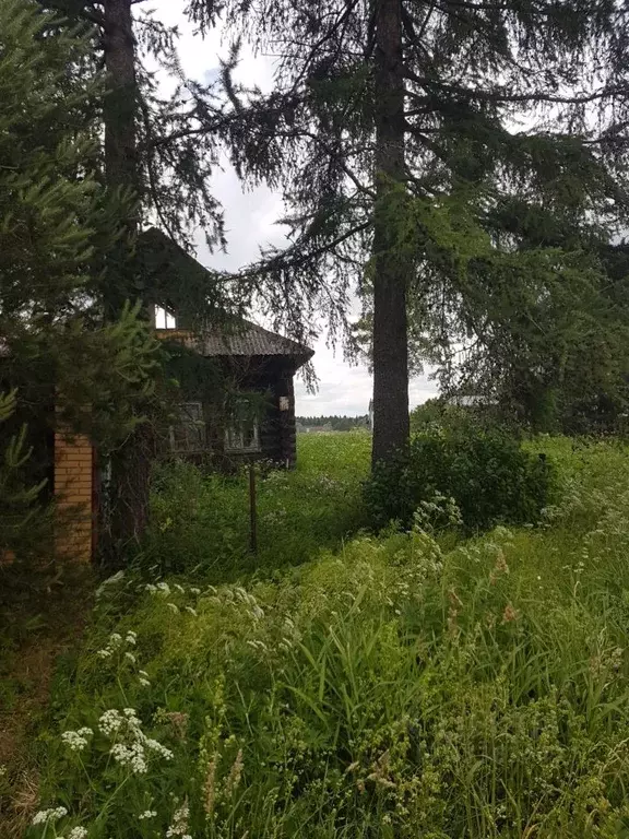 Участок в Московская область, Клин городской округ, д. Акатьево 13А ... - Фото 0