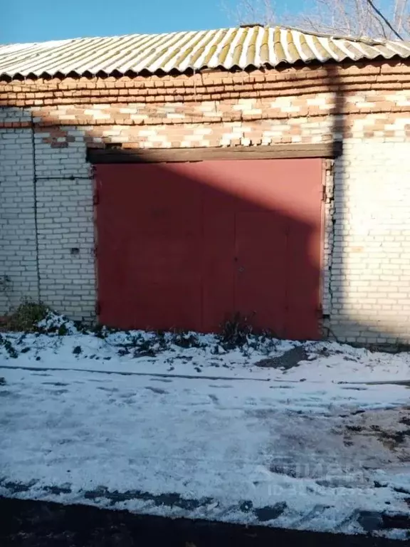 Офис в Курганская область, Варгаши рп ул. Социалистическая, 82 (75 м) - Фото 0