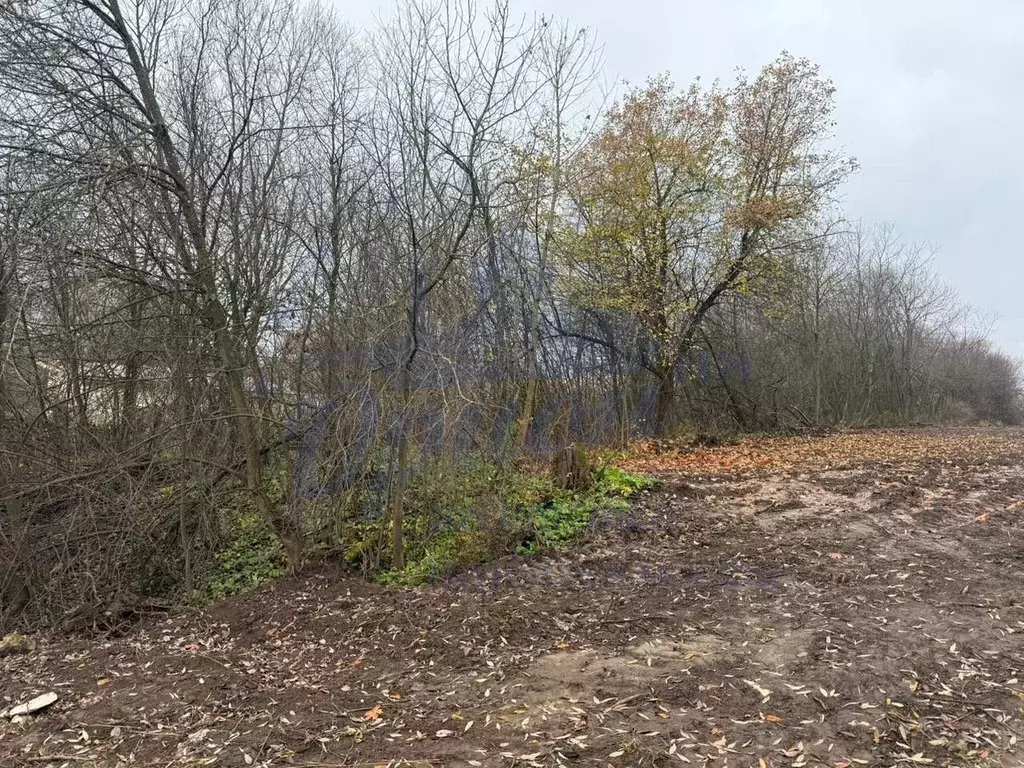 Участок в Нижегородская область, Нижний Новгород д. Кусаковка, ул. ... - Фото 1