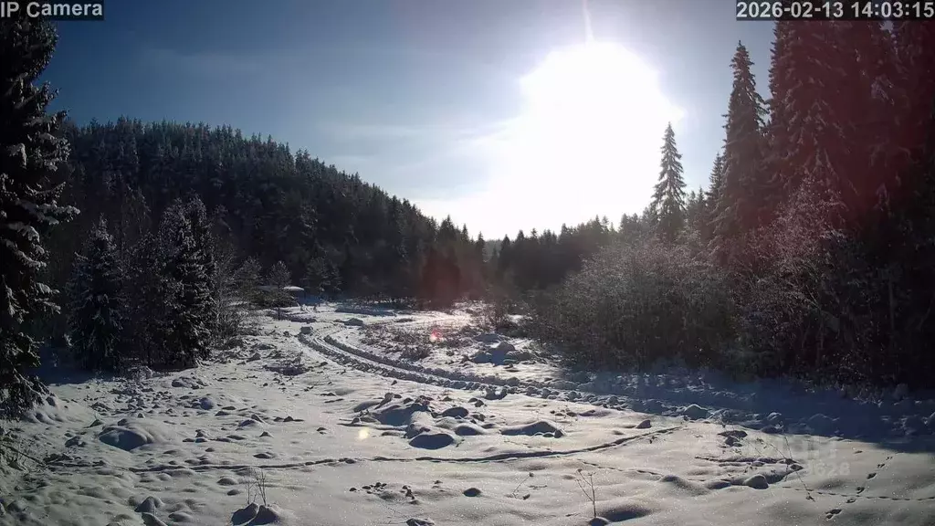 Участок в Карелия, Лахденпохский муниципальный округ, пос. Ласанен ул. ... - Фото 2